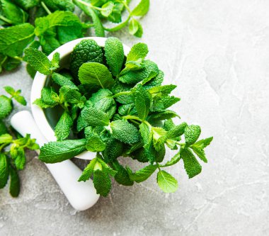 Gri beton arka planda taze yeşil nane.