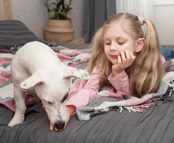 Onnellinen Lapsi Koiran Kanssa Muotokuva Tyttö Lemmikki Tyttö Valkoinen Jack — kuvapankkivalokuva