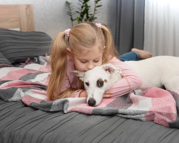Onnellinen Lapsi Koiran Kanssa Muotokuva Tyttö Lemmikki Tyttö Valkoinen Jack — kuvapankkivalokuva