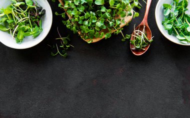 Siyah arkaplanda mikro yeşillik çeşitleri, kopyalama alanı, üst görünüm. Sağlıklı yaşam tarzı