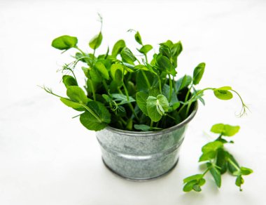 Yeşil lahana tomurcuklanmış bezelye tohumu dolu bir kasede.