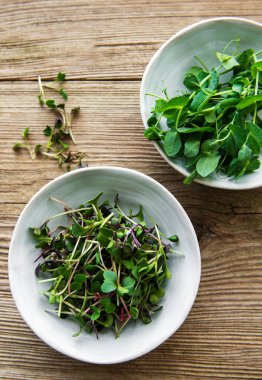 Eski ahşap arka planda mikro yeşiller, mikro yeşil, sağlıklı gıda konsepti.