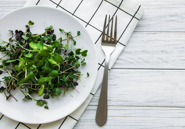 Micro greens in a plate on a white background, micro green, healthy food concept