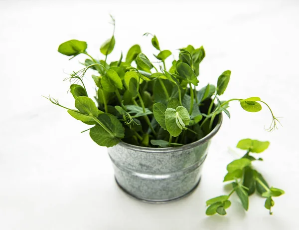 Cup Green Sprouts Germinated Seeds Peas Table — Stock Photo, Image