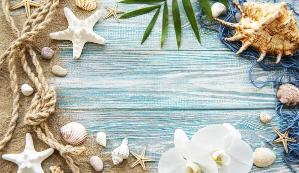 Seashells Areia Fundo Férias Verão Mar Com Espaço Para Texto — Fotografia de Stock