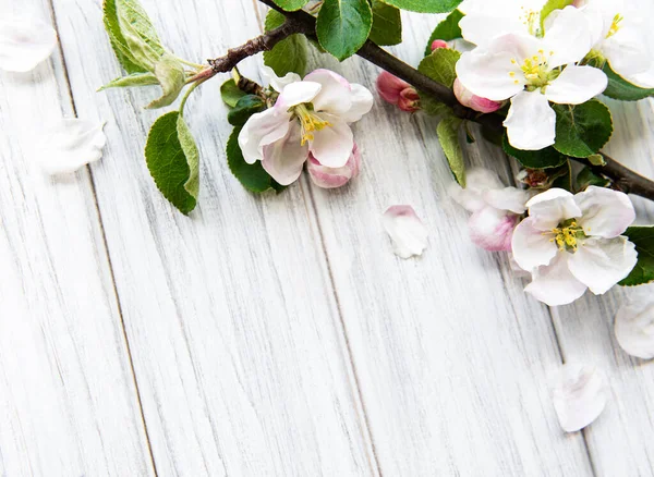 Fondo Borde Primavera Con Hermosas Ramas Floración Blanca Fondo Madera — Foto de Stock