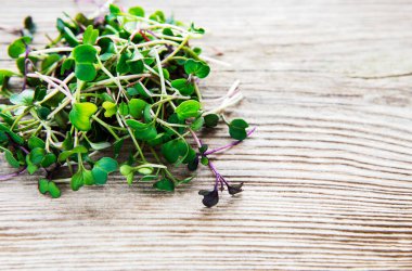 Eski ahşap arka planda bir yığın turp mikro yeşili. Sağlıklı yeme kavramı.