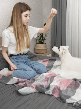 Genç kız köpeği Jack Russell 'la oynuyor.