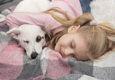 Köpekli mutlu çocuk. Evcil hayvanlı bir portre kızı. Kız ve beyaz Jack Russell