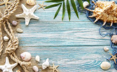 Kumdaki deniz kabukları. Yazın deniz tatili arka planında metin için yer var. Üst görünüm
