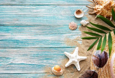 Kumdaki deniz kabukları. Yazın deniz tatili arka planında metin için yer var. Üst görünüm