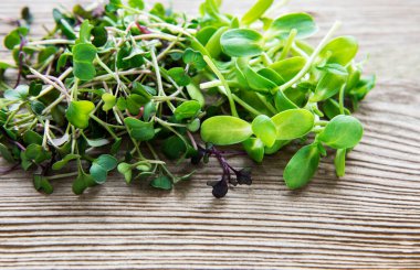 Eski ahşap arka planda bir yığın turp mikro yeşili. Sağlıklı yeme kavramı.