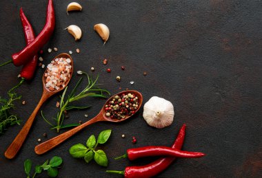 Değişik renklerde baharatlar. Tuz taneleri, karabiber, biberiye, fesleğen ve sarımsak. Üst Manzara. Boşluğu kopyala.