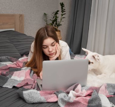 Genç bir kız evde online çalışıyor. Dizüstü bilgisayarı ve köpeği olan bir kız..