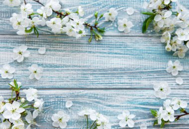 Güzel beyaz çiçek dalları olan bahar sınır arkaplanı. Mavi ahşap arka plan, narin çiçekler. İlkbahar konsepti. Düz görünüm kopyalama alanı.
