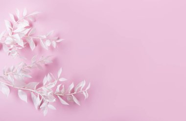 Pembe arka planda yaprakları olan beyaz dalların çerçevesi