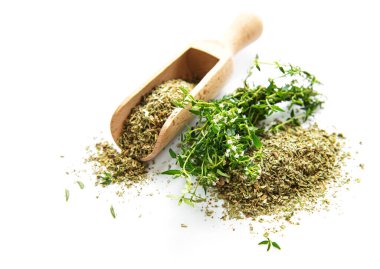 Beyaz arkaplanda taze ve kuru kekik