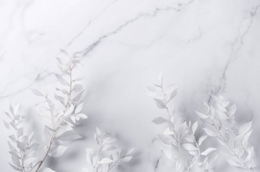 Mermer zemin üzerinde yapraklar olan beyaz dalların çerçevesi