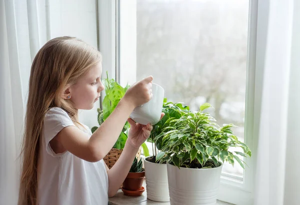 Pieni Tyttö Kastelee Huonekasveja Talossaan — kuvapankkivalokuva