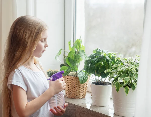 Lita Jente Som Sprutet Vann Stueplanter Innendørs Hagebruk – stockfoto