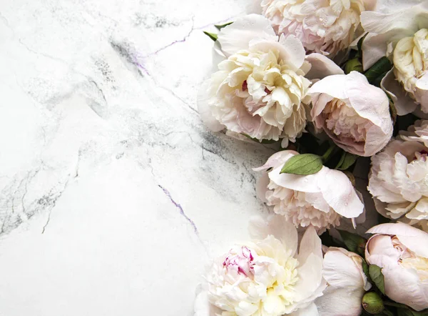 Taze Açık Pembe Şakayık Çiçekleri Beyaz Mermer Zemin Üzerinde Kopyalama — Stok fotoğraf