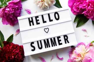 HELLO YAZ metin ve şakayık çiçekli beyaz arkaplanda ışık kutusu