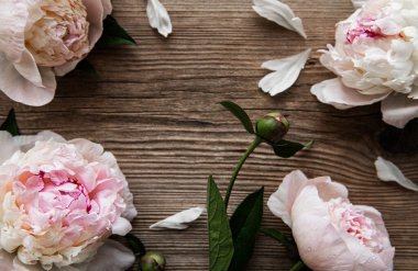 Pembe şakayık çiçekleri eski ahşap arka planda bir sınır olarak