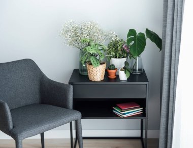 Ev bitkisi. Masada farklı ev bitkileri var.