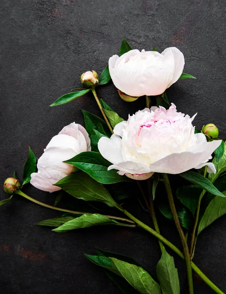 Fresh pink peony flowers border with copy space on black background, flat lay.