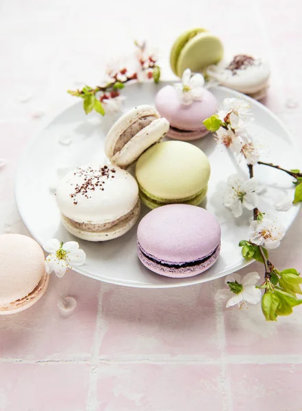 French Sweet Macaroons Colorful Variety Pink Tile Background Spring Blossom — Stock Photo, Image