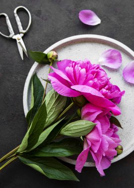 Beton bir plaka üzerinde taze pembe şakayık çiçekleri. Siyah arka planda kopyalama alanı var.. 