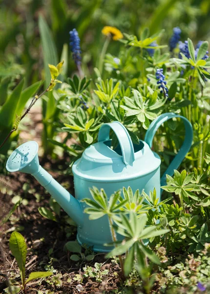 Grön Vattenkanna Står Trädgården Mellan Blommorna — Stockfoto