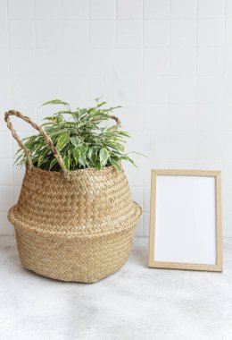 Ficus benjamin ve masanın üzerindeki poster çerçevesi.