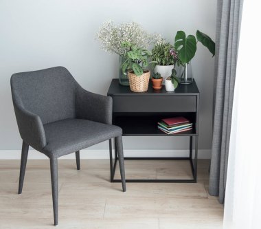 Ev bitkisi. Masada farklı ev bitkileri var.