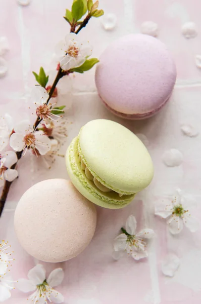 French Sweet Macaroons Colorful Variety Pink Tile Background Spring Blossom — Stock Photo, Image