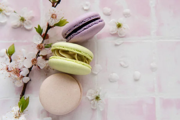 French Sweet Macaroons Colorful Variety Pink Tile Background Spring Blossom — Stock Photo, Image