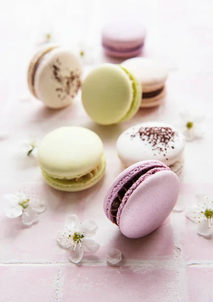 French Sweet Macaroons Colorful Variety Pink Tile Background Spring Blossom — Stock Photo, Image
