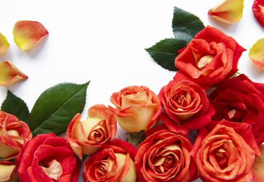 Çiçek kompozisyonu. Kırmızı güllerden yapılmış çerçeve ve beyaz arka planda yapraklar. Üst görünüm, düz görünüm, kopyalama alanı