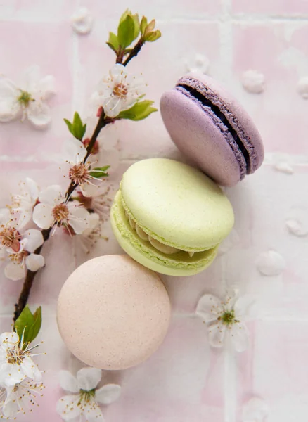 French Sweet Macaroons Colorful Variety Pink Tile Background Spring Blossom — Stock Photo, Image