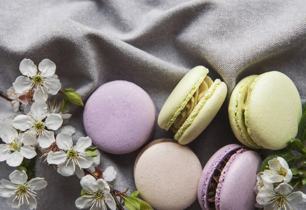 Französisch Süße Makronen Bunte Vielfalt Auf Grauem Textilhintergrund Mit Frühlingsblüte — Stockfoto