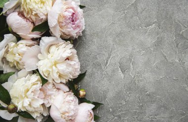 Taze açık pembe şakayık çiçekleri. Gri beton zemin üzerinde kopyalama alanı var.. 