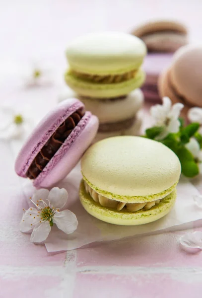 French Sweet Macaroons Colorful Variety Pink Tile Background Spring Blossom — Stock Photo, Image