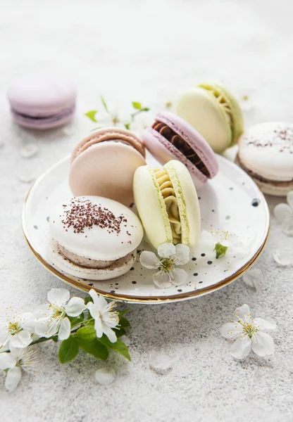 Macarrones Dulces Franceses Colorida Variedad Sobre Fondo Hormigón Con Flor —  Fotos de Stock