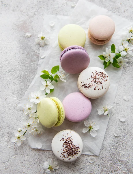 French Sweet Macaroons Colorful Variety Concrete Background Spring Blossom — Stock Photo, Image