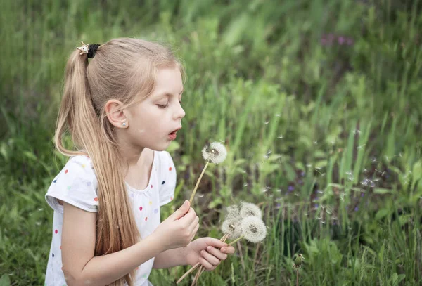 Pieni Tyttö Kevätpuutarhassa Valkoiset Voikukat Käsissään — kuvapankkivalokuva