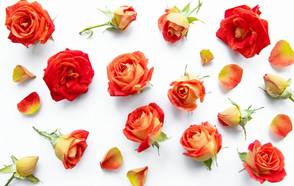 Composição Flores Quadro Feito Rosas Vermelhas Folhas Sobre Fundo Branco — Fotografia de Stock