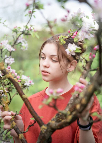 Молодая Девушка Цветущем Саду Смотрит Цветущие Деревья — стоковое фото