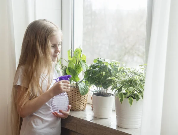 Pieni Tyttö Kastelee Huonekasveja Talossaan — kuvapankkivalokuva