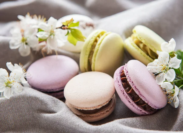 Macaroane Dulci Francezi Varietate Colorată Fundal Textil Gri Flori Primăvară — Fotografie, imagine de stoc