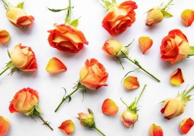 Çiçek kompozisyonu. Kırmızı güllerden yapılmış çerçeve ve beyaz arka planda yapraklar. Üst görünüm, düz görünüm, kopyalama alanı